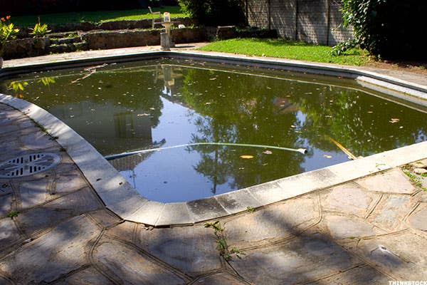 6 Things to Ask Before Diving Into Pool Ownership - TheStreet
