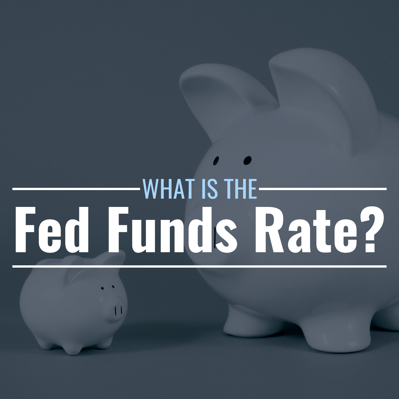 What Is the Fed Funds Rate? Why Is It Important? - TheStreet