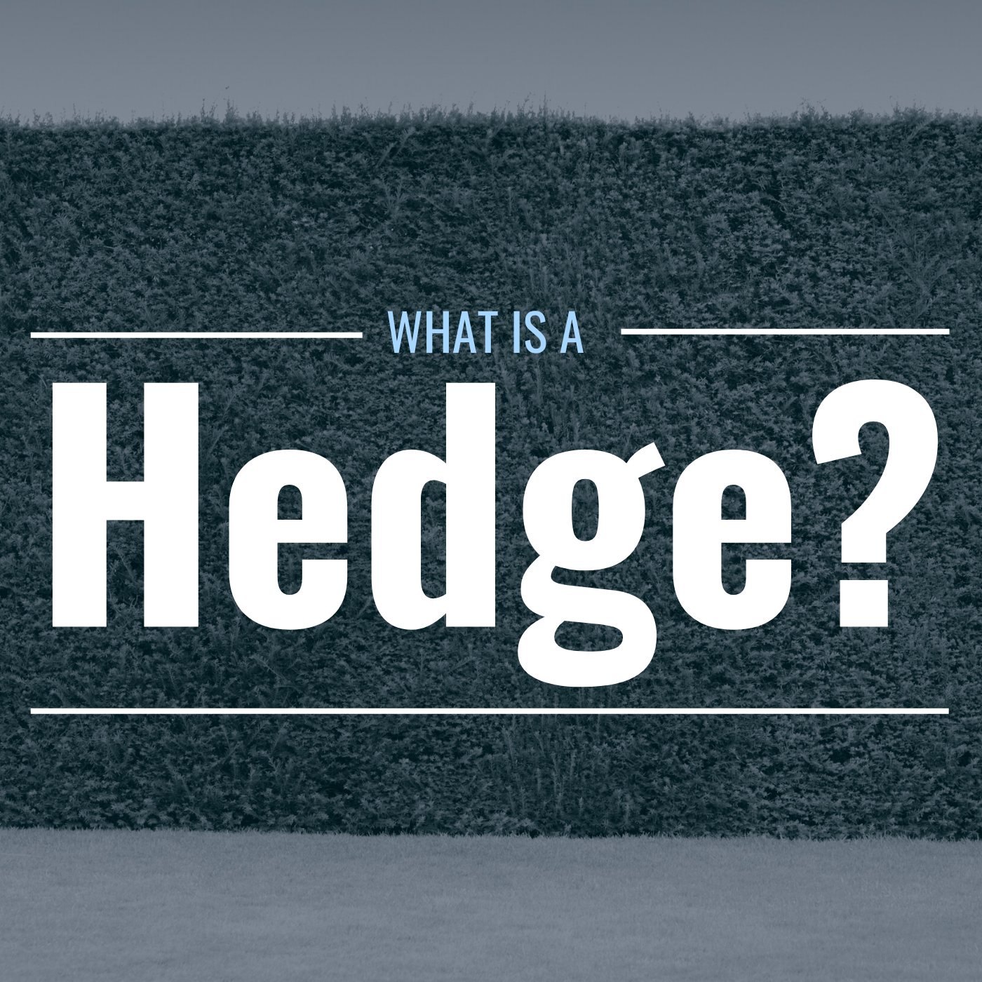 What Is a Hedge? How Does It Work? - TheStreet