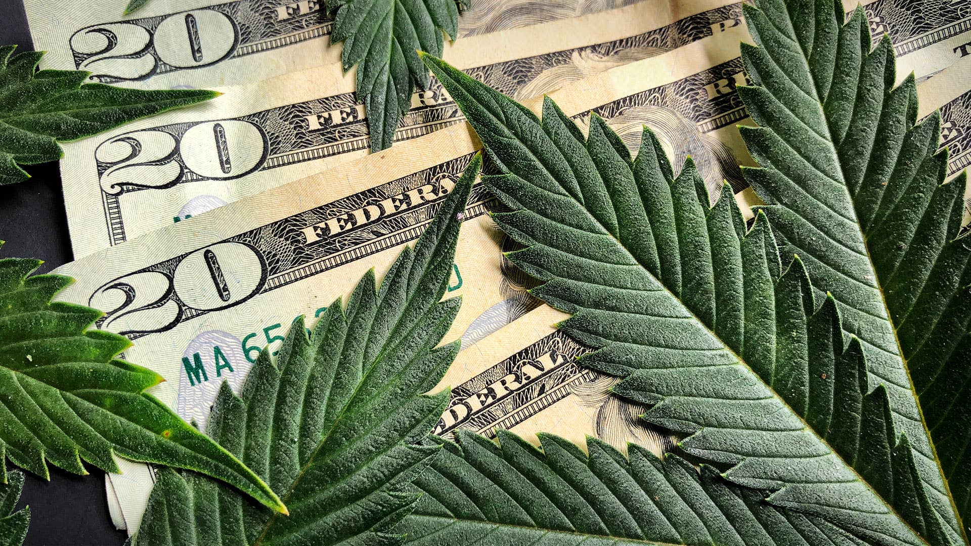 Hedge fund veteran sends strong message about marijuana stocks - TheStreet