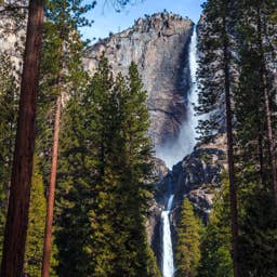 105-year-old historic hotel by national park files for Chapter 11 bankruptcy
