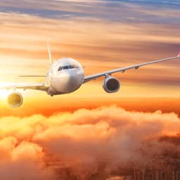 Airline cancels almost all flights, passengers stranded