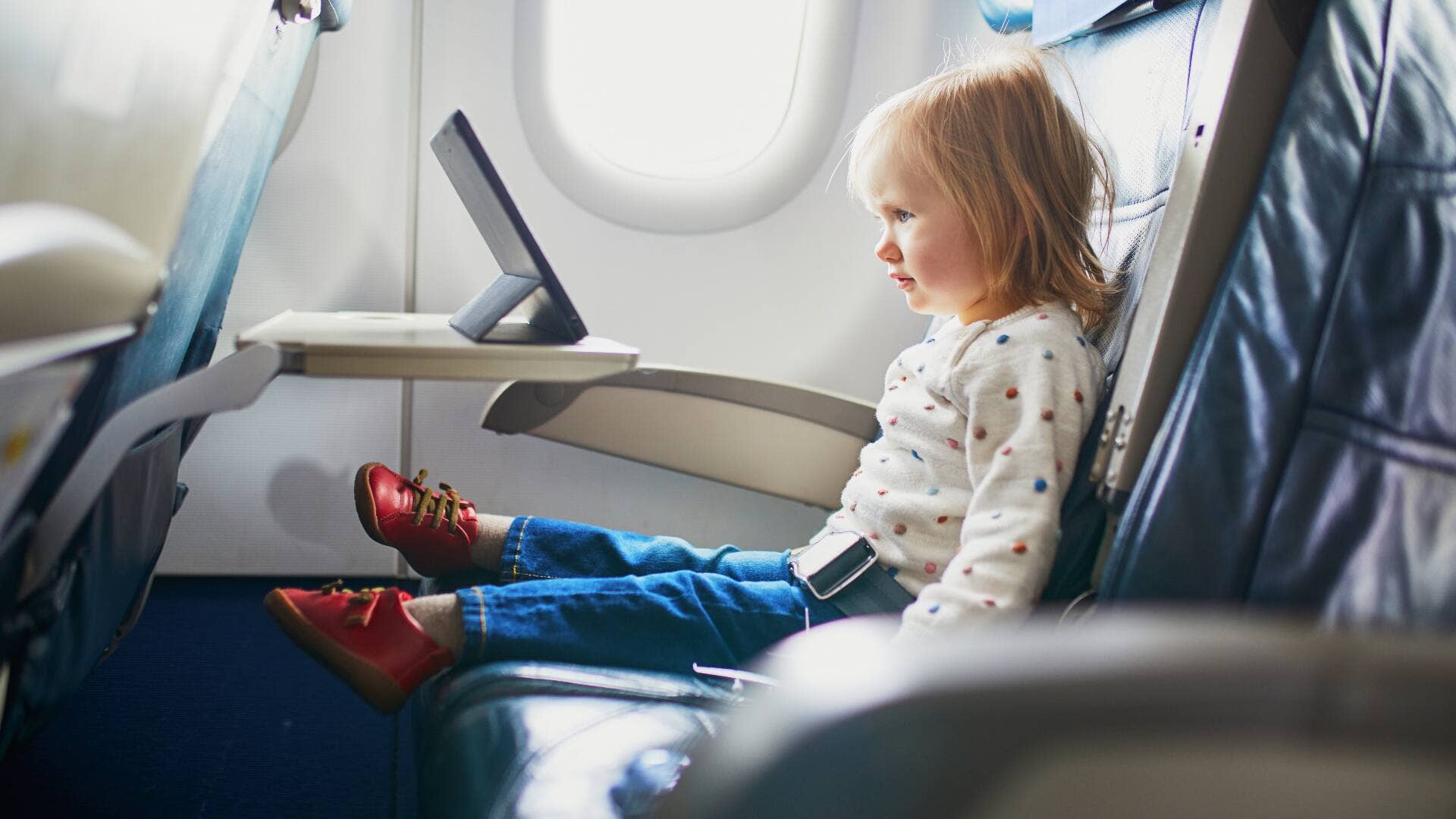 peg perego siesta high chair canada The multi Color:RockBass Frozen American Tourister Backpack S&O