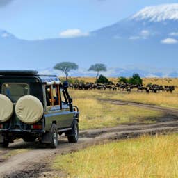 Popular luxury travel company abruptly cancels all trips