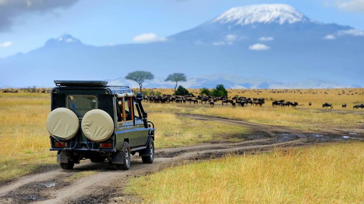 Popular luxury travel company shuts down, cancels all trips