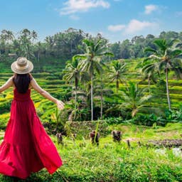 Currency-chasing tourism picks up speed: Here's where they'll go in 2027