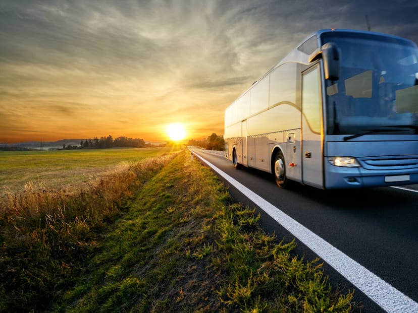 11-year-old travel company files for bankruptcy and cancels trips