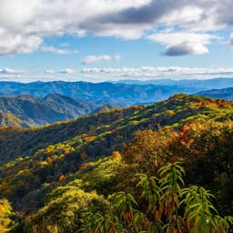 National park visitors first arrested for this crime in 2026