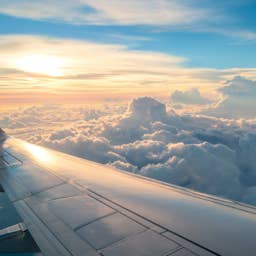 Low-cost airline cancels all flights for two weeks, travelers stranded