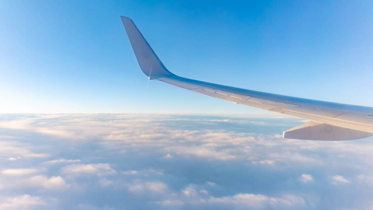 Major airline cancels 81 flights as strike looms, no refunds