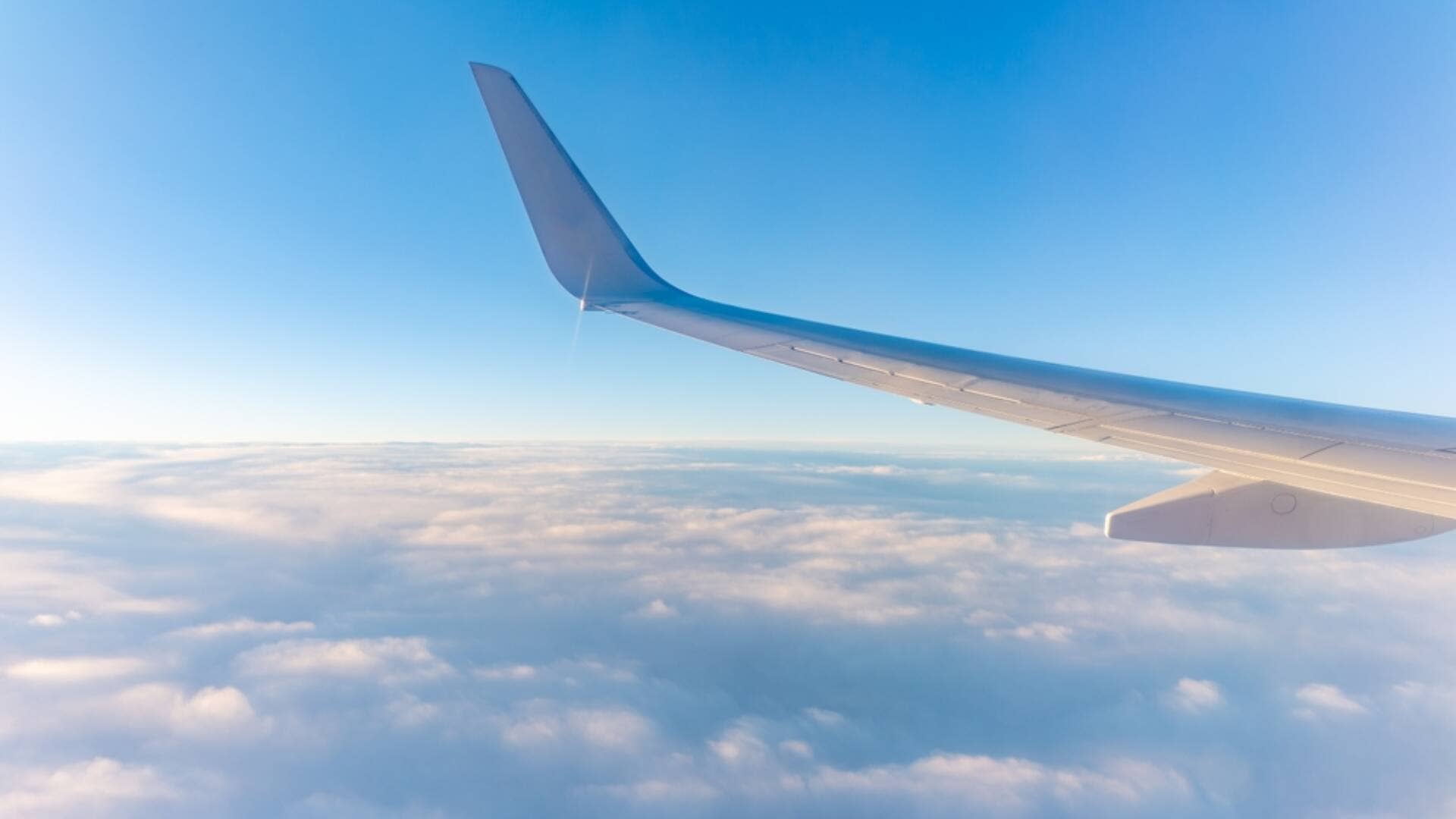 Another airline cancels flights for disturbing reason TheStreet