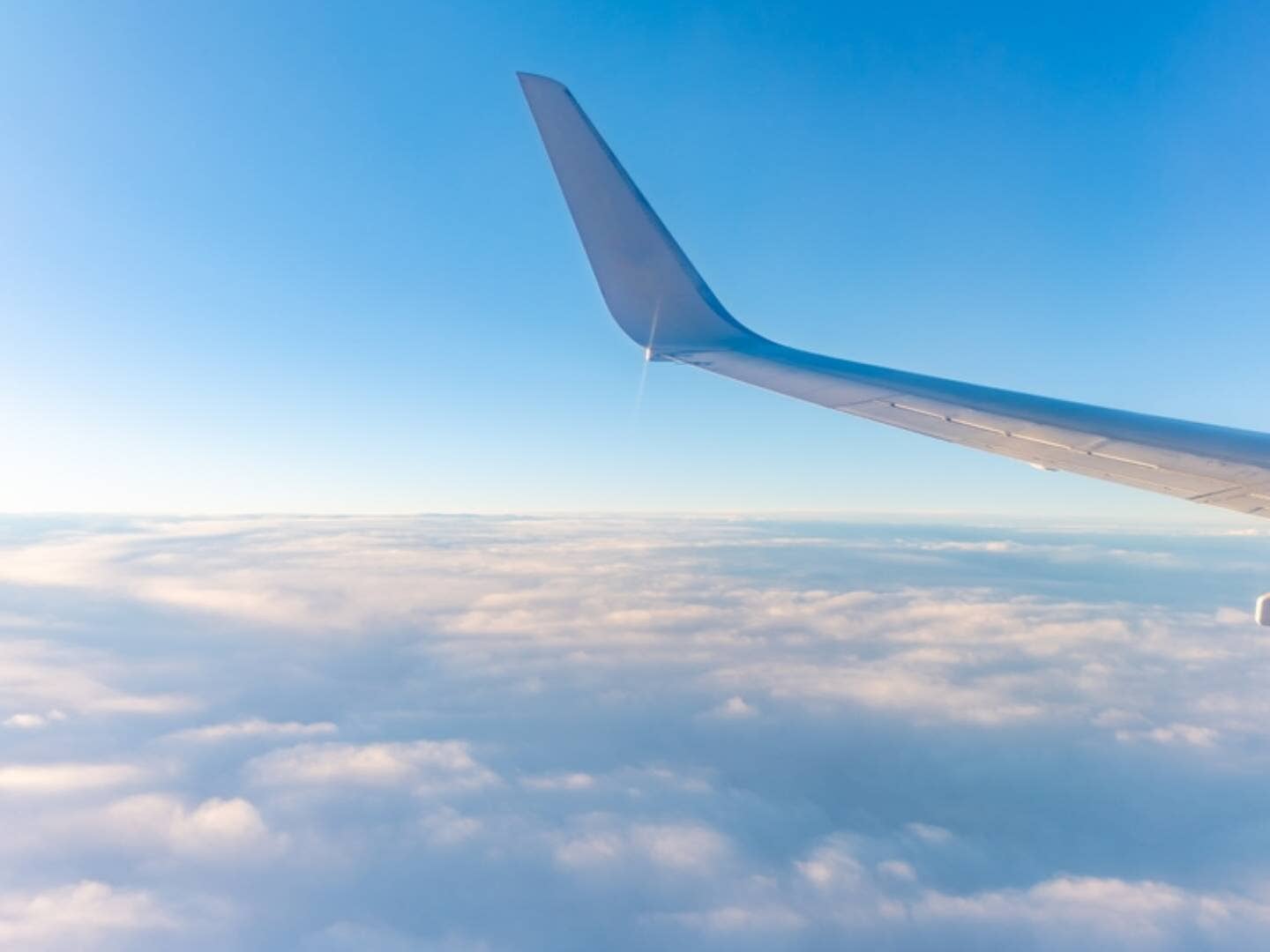 Another airline shuts down and cancels last flights