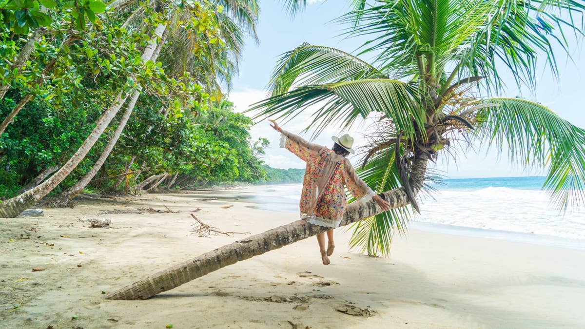 Tourists stranded after travel agency files for bankruptcy and cancels all trips