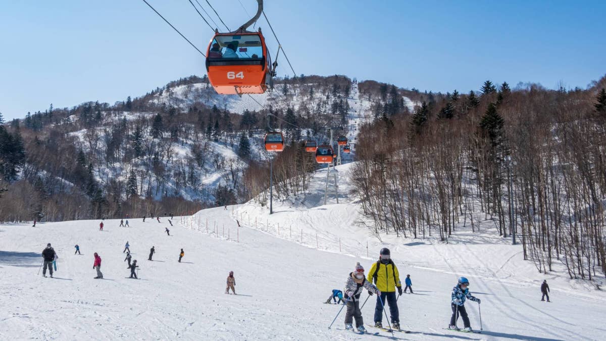 Another travel company will liquidate, all trips canceled