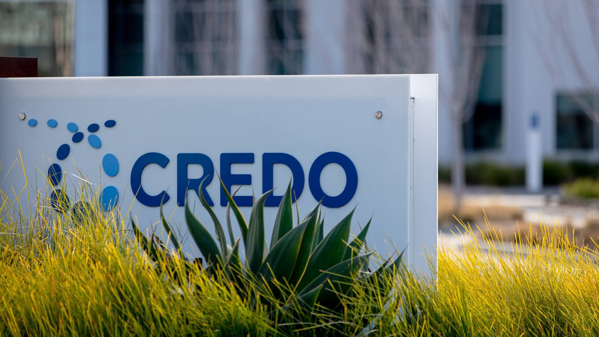 Credo’s blowout quarter hides a huge risk Wall Street can’t ignore ...