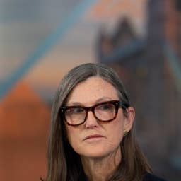 Cathie Wood buys \$11 million of tumbling megacap tech stock