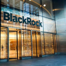 BlackRock uncovered a flaw in retirement plans