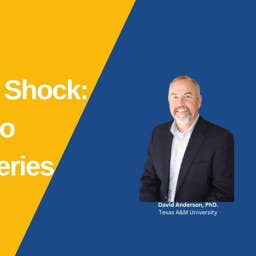 Price Shock: Gas to Groceries