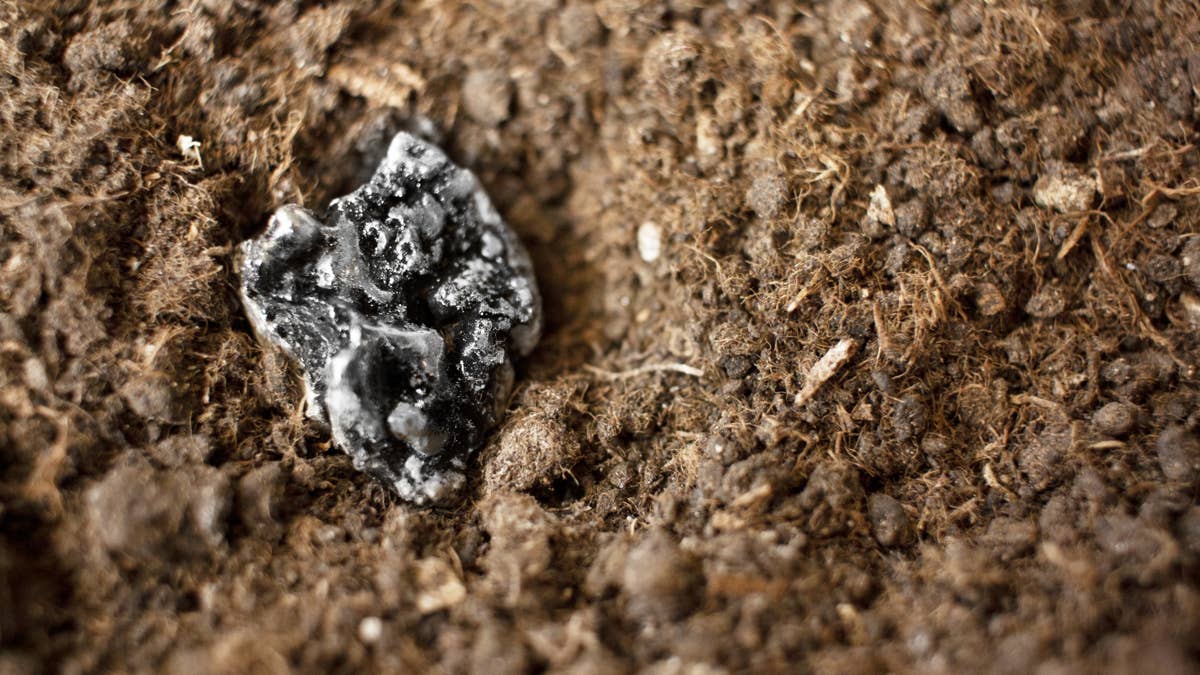 JPMorgan's $1.5 trillion security bet just got much bigger