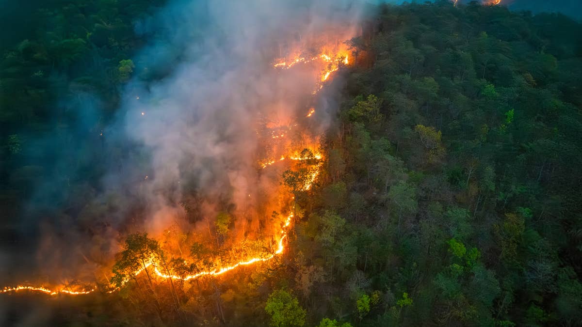 JPMorgan has a stark message on climate change