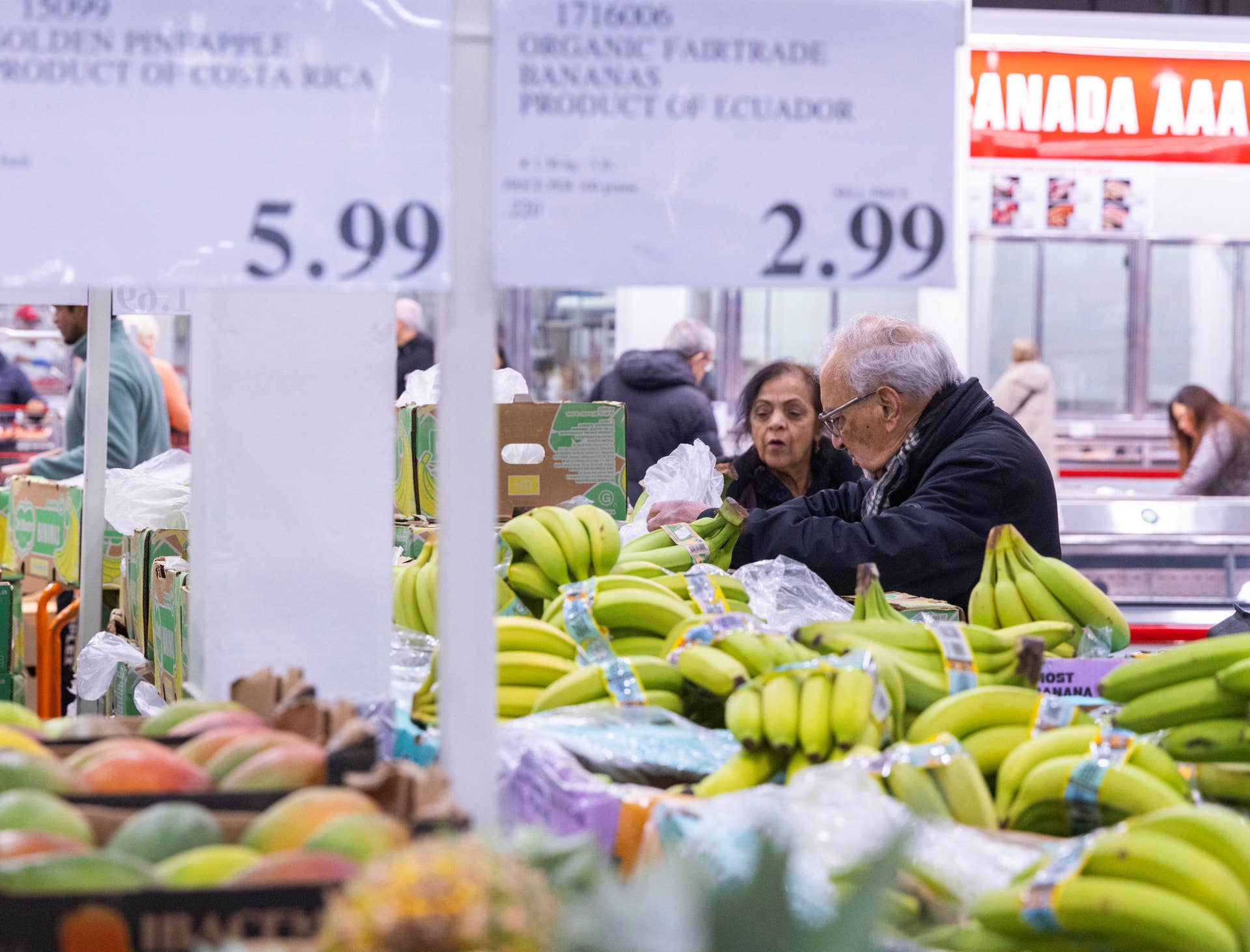 Costco stock price shocks market despite major blowout quarter