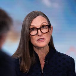 Cathie Wood loads up on Magnificent Seven winner as investors flee