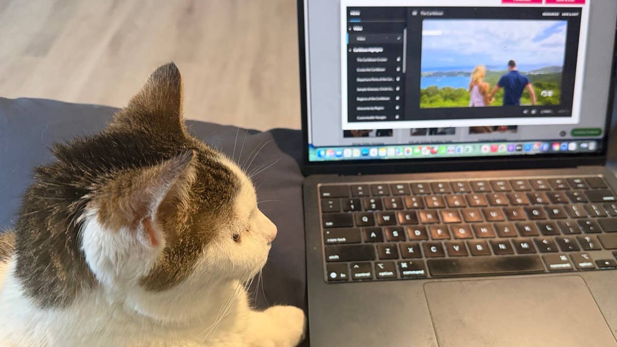 Petco pulls back on what Amazon and Chewy can't match