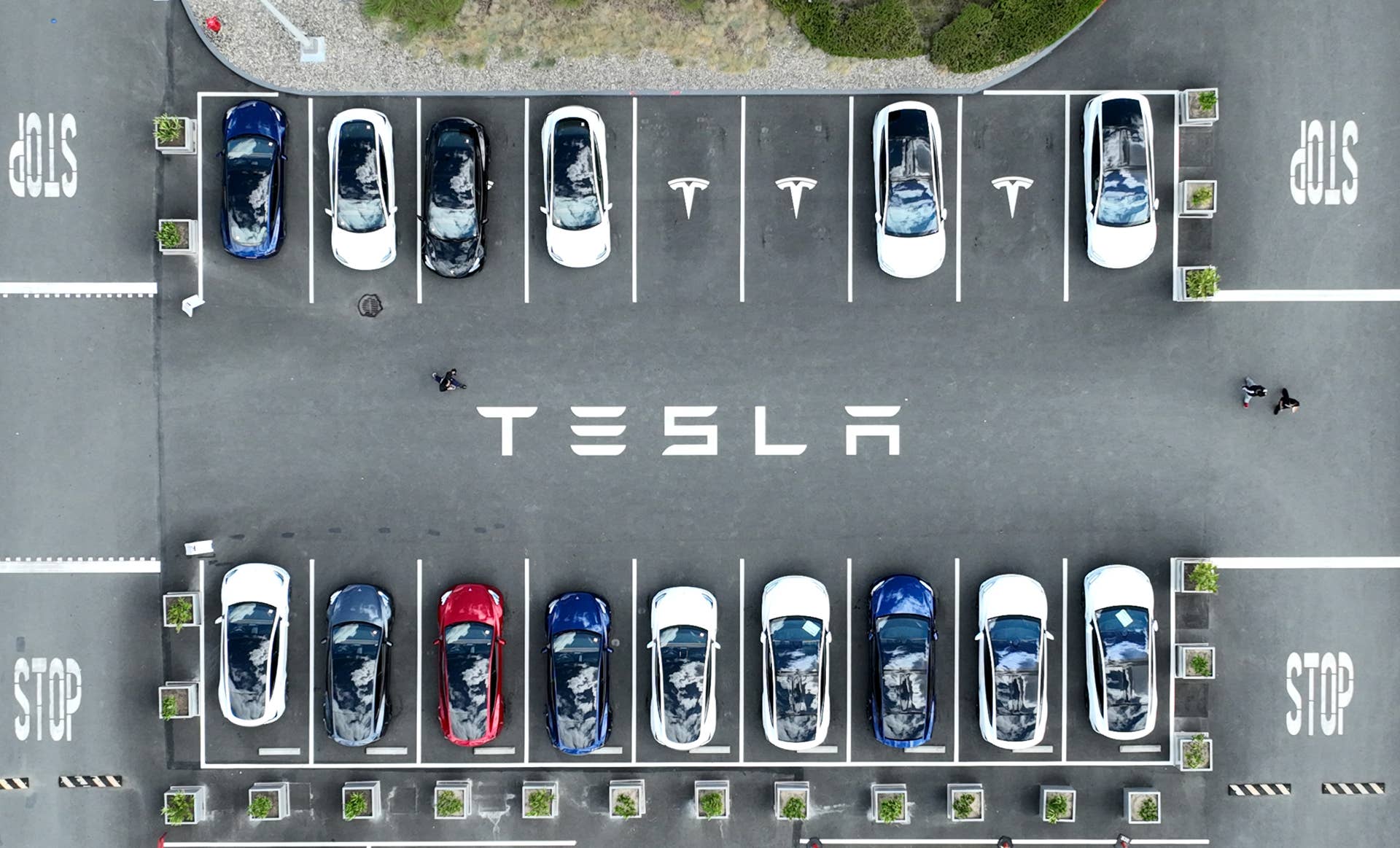 Tesla record revenue masks cash burn, $1B SpaceX swing