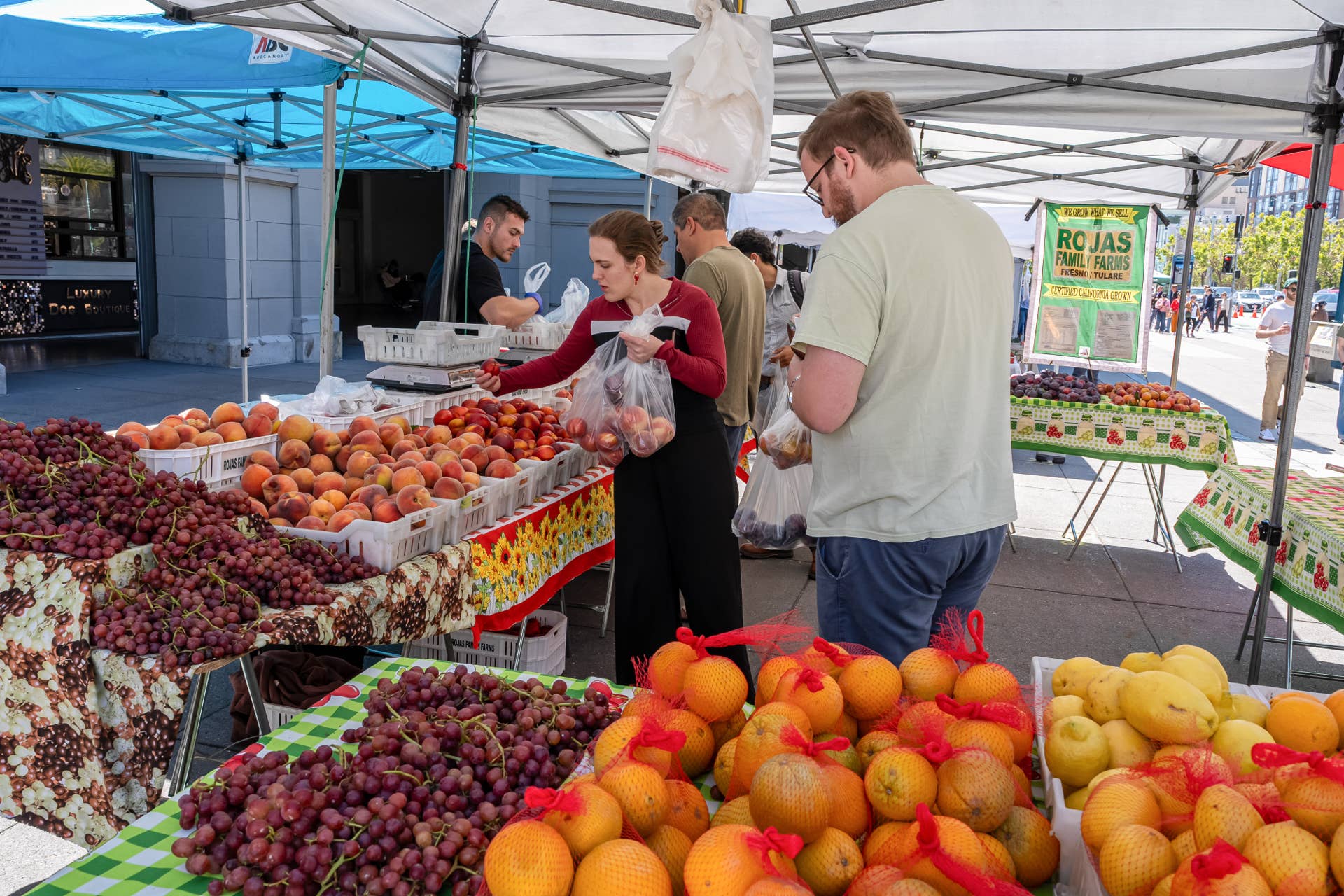 Winter Inflation UBS sends strong verdict on food inflation, economy - TheStreet