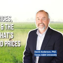 Record Cattle Prices, Cheaper Chicken &amp; the Lettuce Scare: What's Really Happening to Food Prices
