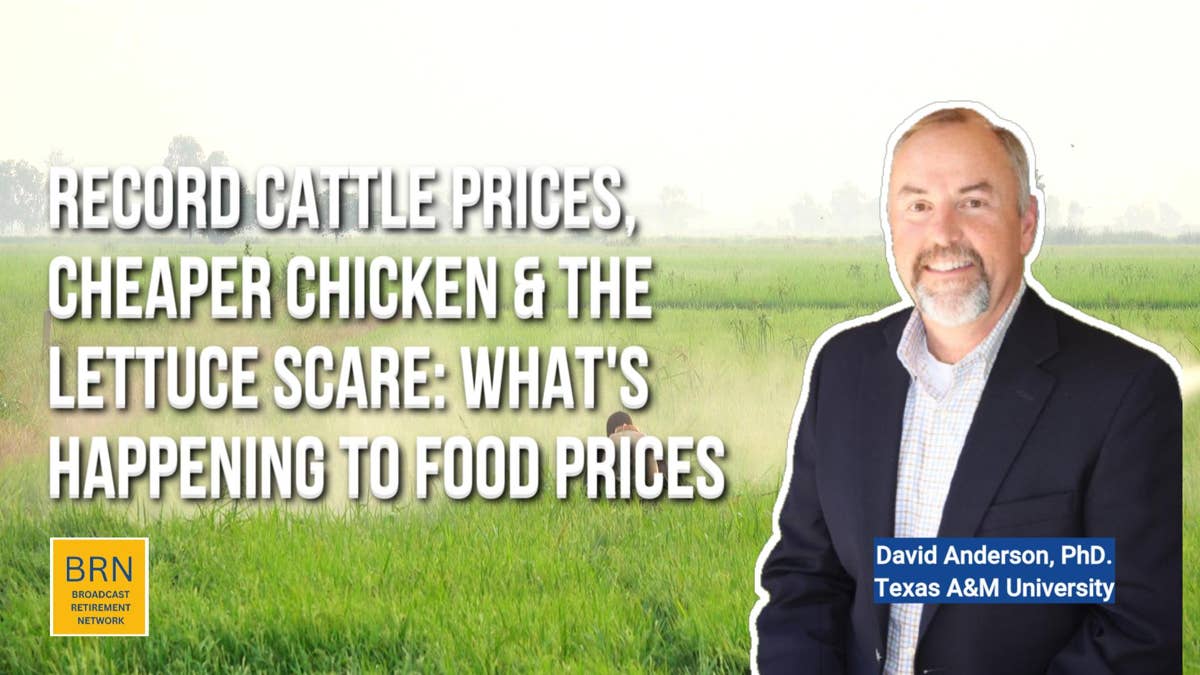 Record Cattle Prices, Cheaper Chicken &amp; the Lettuce Scare: What's Really Happening to Food Prices