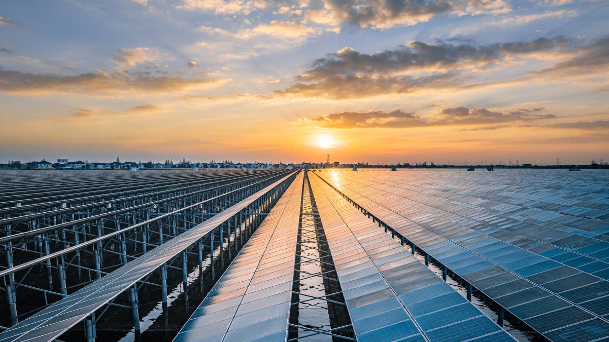 One company stands to gain as bankruptcy wave hits solar sector