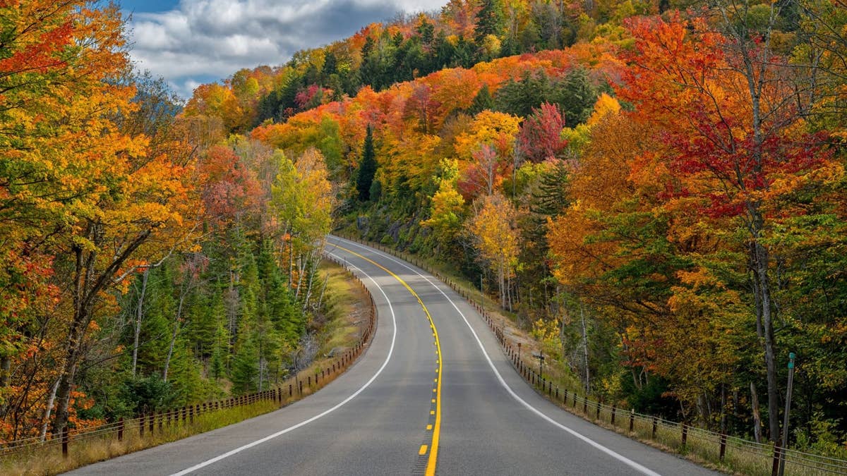 Now is the time to plan a fall leaf-peeping trip from NYC