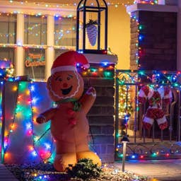 Key Christmas retailer files for Chapter 11 bankrutpcy
