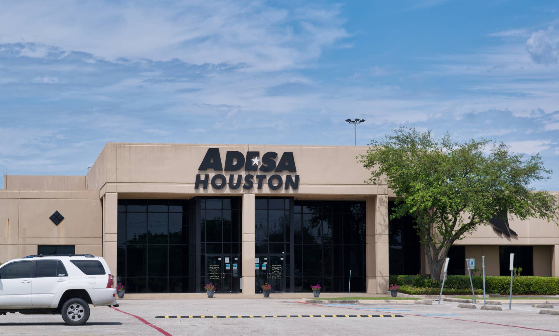 Carvana, CarMax jockey as agentic AI tools look to fix the worst parts ...