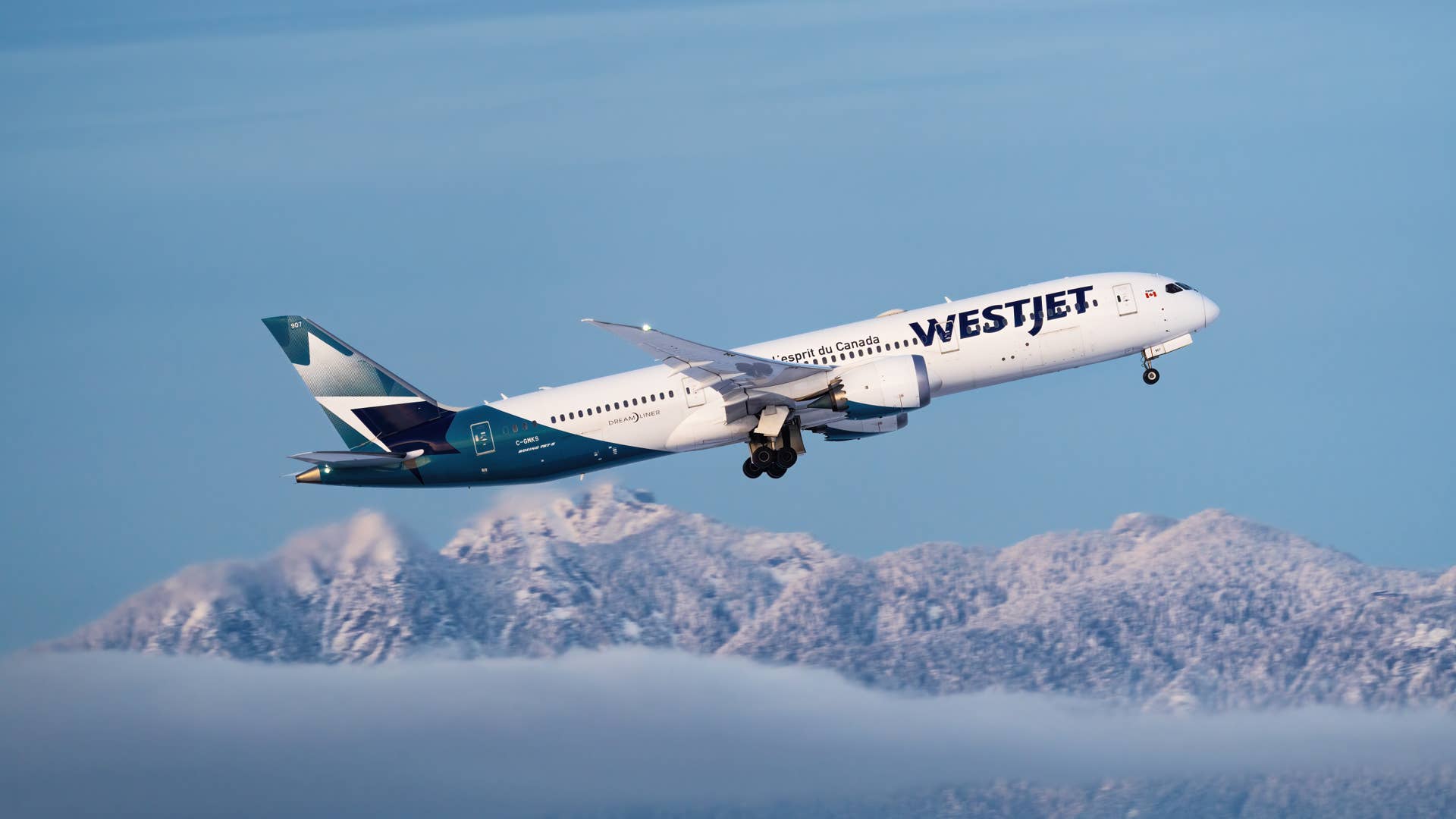 WestJet cancels all flights to US city due to low demand