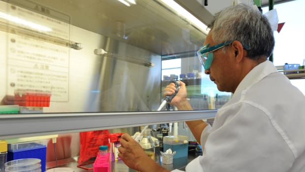 How to Trade GW Pharma as Stock Eases