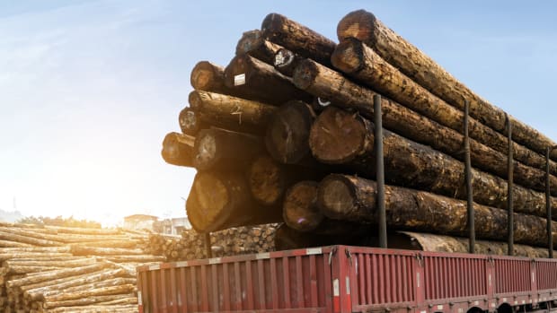 Weyerhaeuser Tumbles After an Earnings Miss