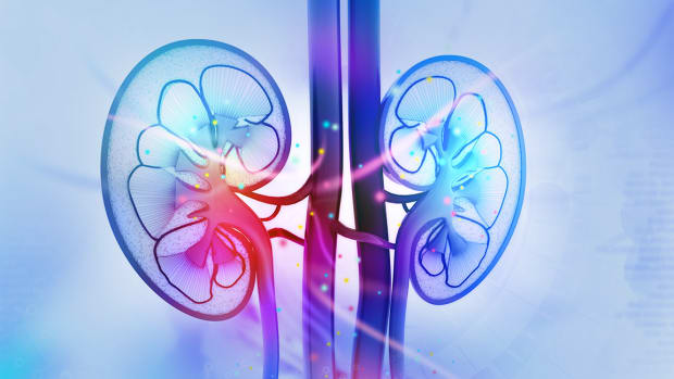 DaVita Soars on Upbeat Earnings Guidance