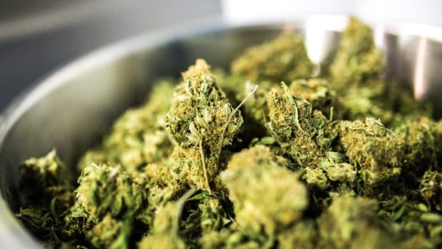 HEXO Is Top Pick as Bank of America Initiates Cannabis Coverage