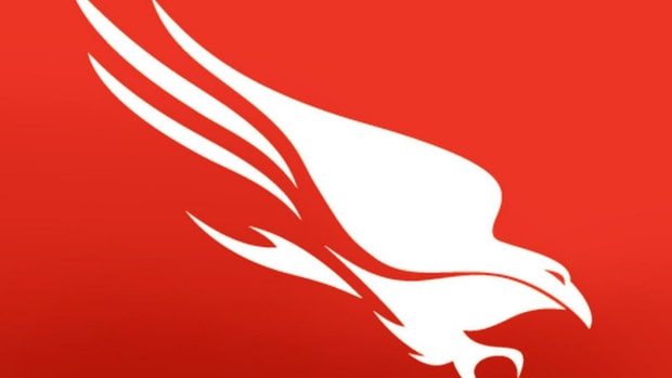 CrowdStrike Shares Surge on Strong First Earnings Report
