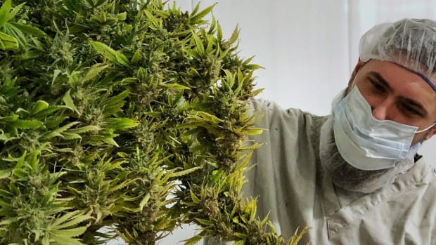 Canopy Growth Jumps as It's Added to S&P/TSX 60 Stock Market Index