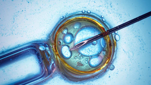 Celgene Could Be Bulking Up Very Fast