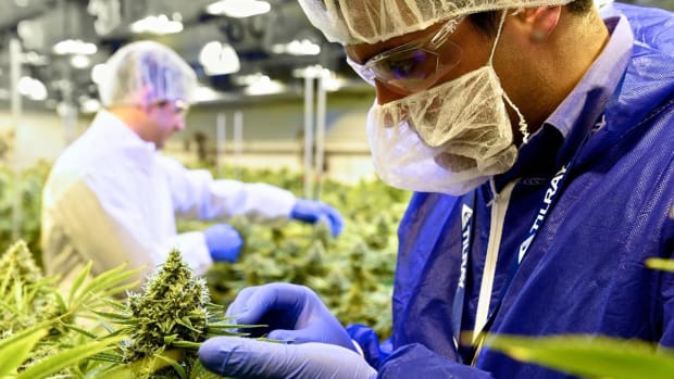 Ladenburg Analysts Spark Coverage of Cannabis Stocks Canopy, Aurora and Tilray