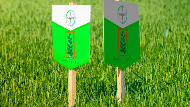 Bayer Shares Plunge Following $289 Million Monsanto Cancer Verdict in California