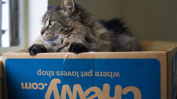 Chewy Reports In-Line Results in First Earnings Release Since IPO