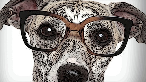 IDEXX Labs, Evolent Health, Triton: 'Mad Money' Lightning Round