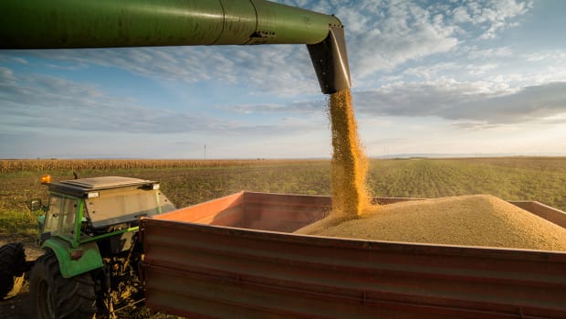 How Soybean Markets Responded to Trade War News