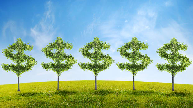 Momo Shares Surge on Strong Quarterly Earnings