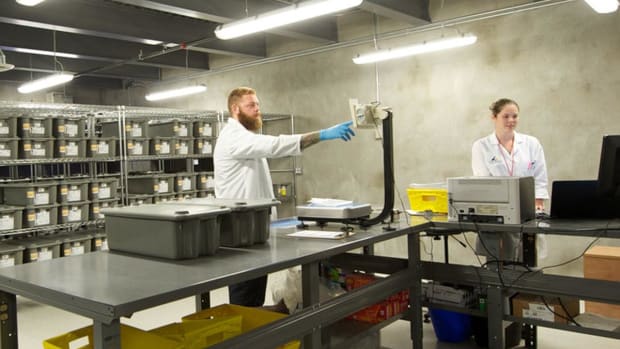 Tilray Stock Jumps as Cowen Affirms Outperform Rating